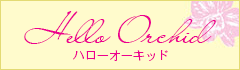 ハローオーキッド